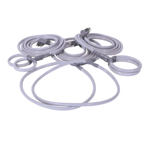 Animal Loops